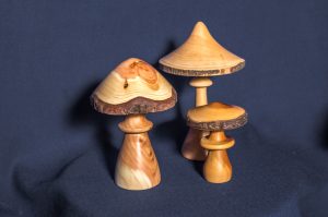 Champignons