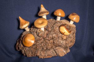 Bouchons champignons